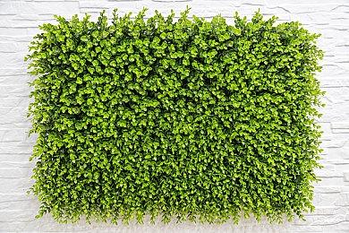 银河恶魔城类魂游戏《最后的信念》11月15日发售